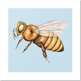 Honeybee Posters and Art